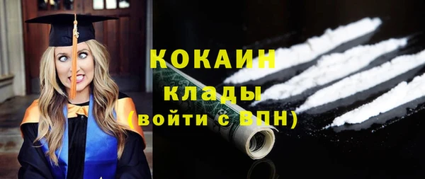 бошки Няндома