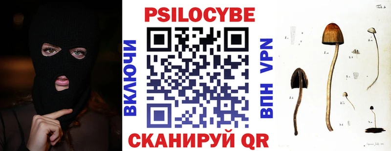 наркотики  Улан-Удэ  Псилоцибиновые грибы мухоморы 